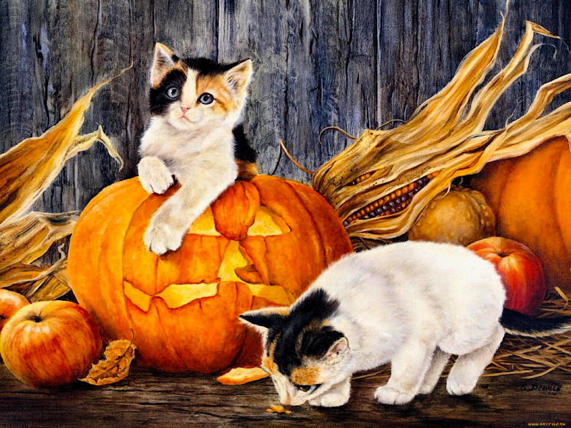 shirley deaville, , ,  , , , , 